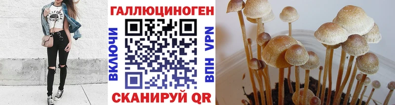 Галлюциногенные грибы Magic Shrooms  Магадан 